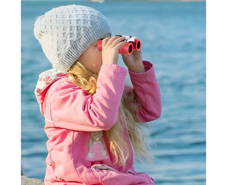 8x21 High Resolution Children's Mini Optical Binoculars - Pink Carousel 7