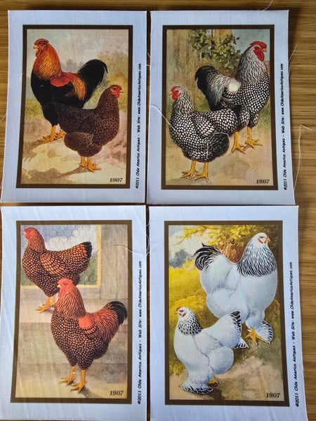Quilted Wall Hanging Kit. Chickens - set 3. Quilt blocks -4"x6" Carousel 2