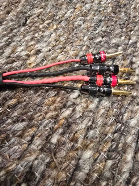 AudioQuest Rocket 33 speaker cables Carousel 2