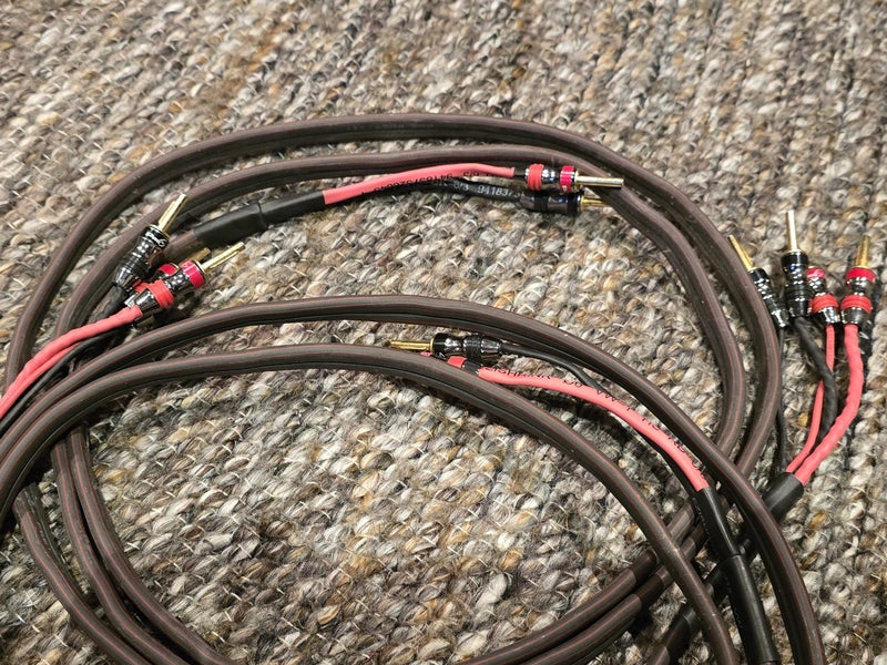 AudioQuest Rocket 33 speaker cables Carousel 1