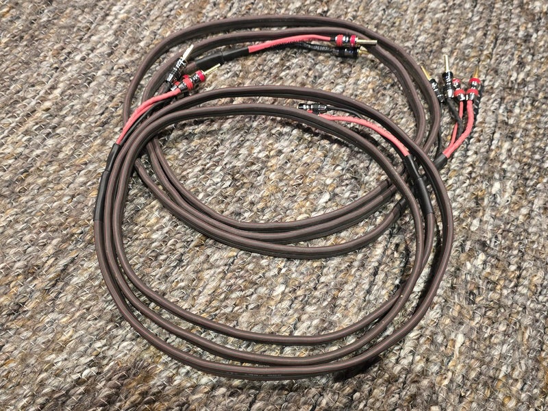 AudioQuest Rocket 33 speaker cables Carousel 8
