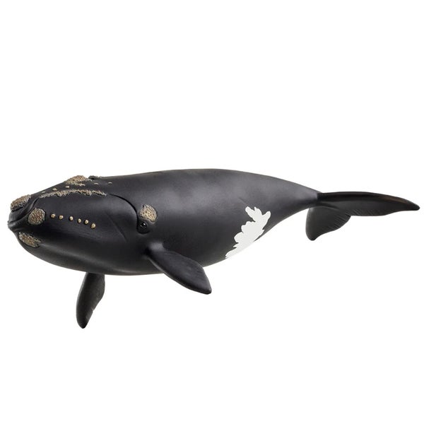 Schleich North Atlantic Right Whale Carousel 1