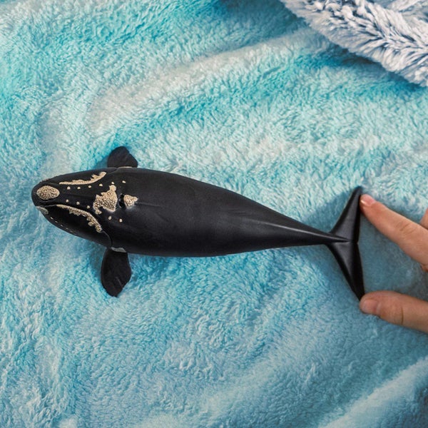Schleich North Atlantic Right Whale Carousel 2