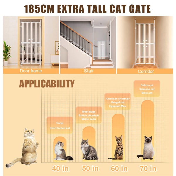 Safety Gate Carousel 2
