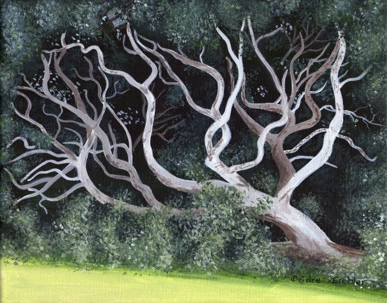 "Pohutukawa Tree at Waihi Beach" Original NZ Acrylic Painting by Deidre Eichler