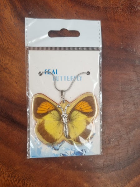 Taxidermied Butterfly necklace. Carousel 1