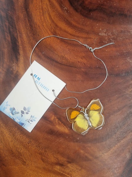 Taxidermied Butterfly necklace. Carousel 2
