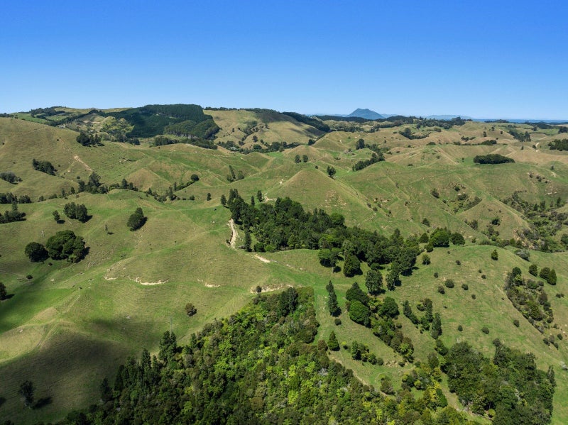 Image 2 of 33