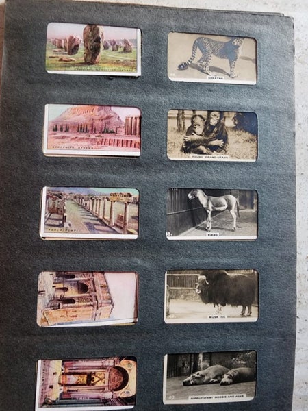  20