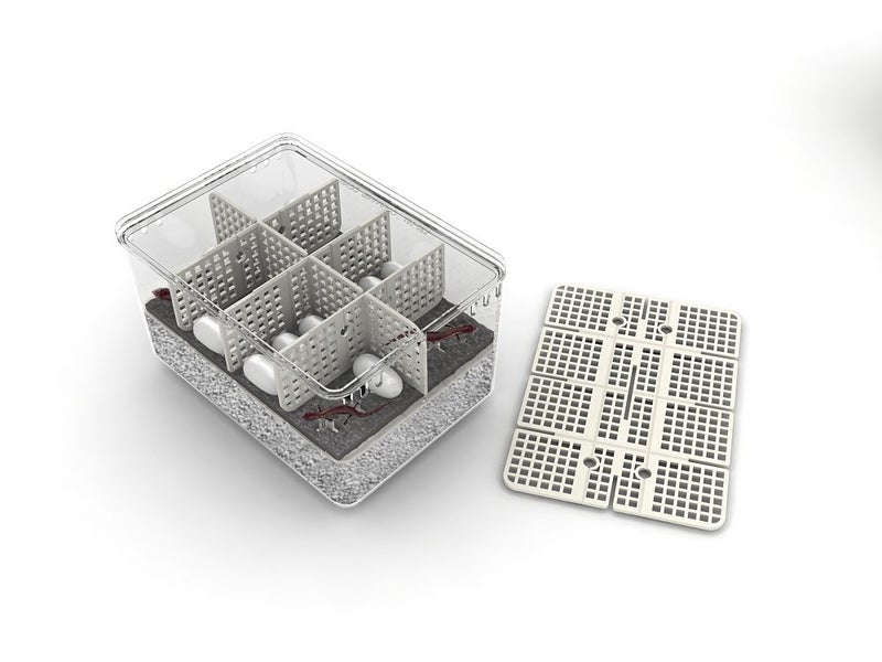 R-COM REPTILE INCUBATOR RX60 Carousel 2