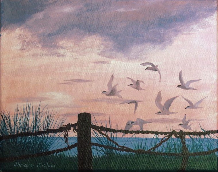 “Terns at Waihi Beach” Original NZ Oil Painting by Deidre Eichler