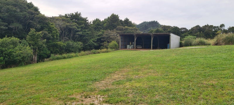 gallery carousel 1