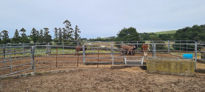 gallery carousel 26