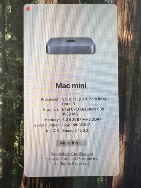 DT Deal!! Mac mini 2018 8GB+256GB SSD Space Grey Carousel 2