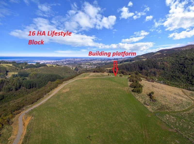 Image 1 of 17