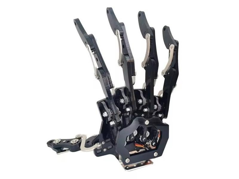 5 Dof Robot Hand-Five Fingers/Finished Bionic Palm/Assembled Carousel 1