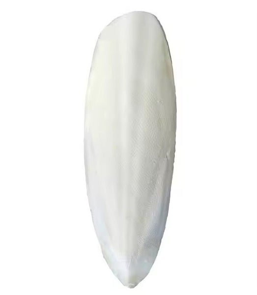 Cuttlefish Bone Single One Large Carousel 1