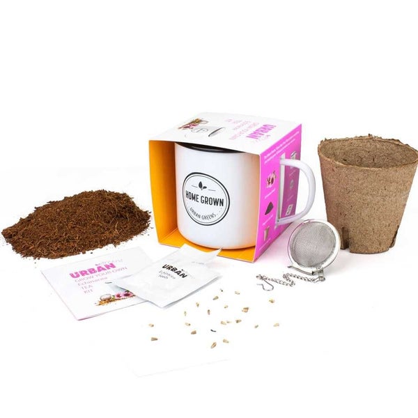 Urban Greens Grow Your Own Echinacea Tea Kit Carousel 3
