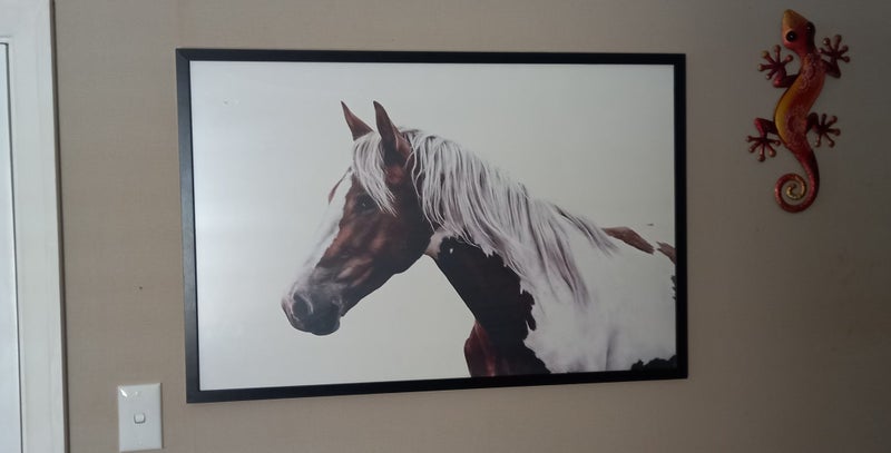 Horse Picture62863864228609111