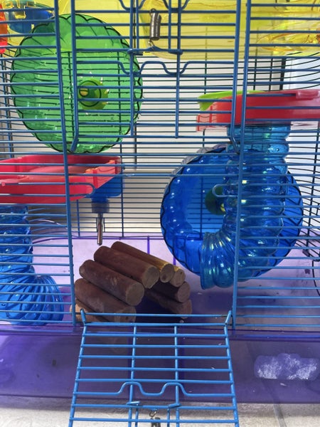 Mouse House / Cage Carousel 2