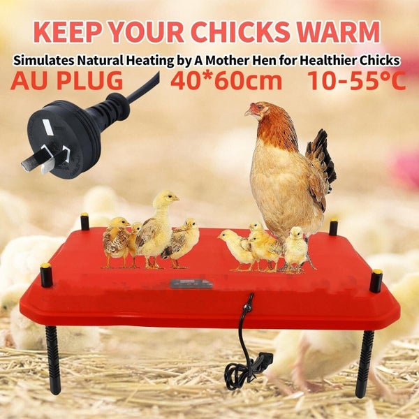 NEW Chick Brooder Heating Plate 40*60CM Adjustable Chicken Coop Brooding Heater Carousel 1