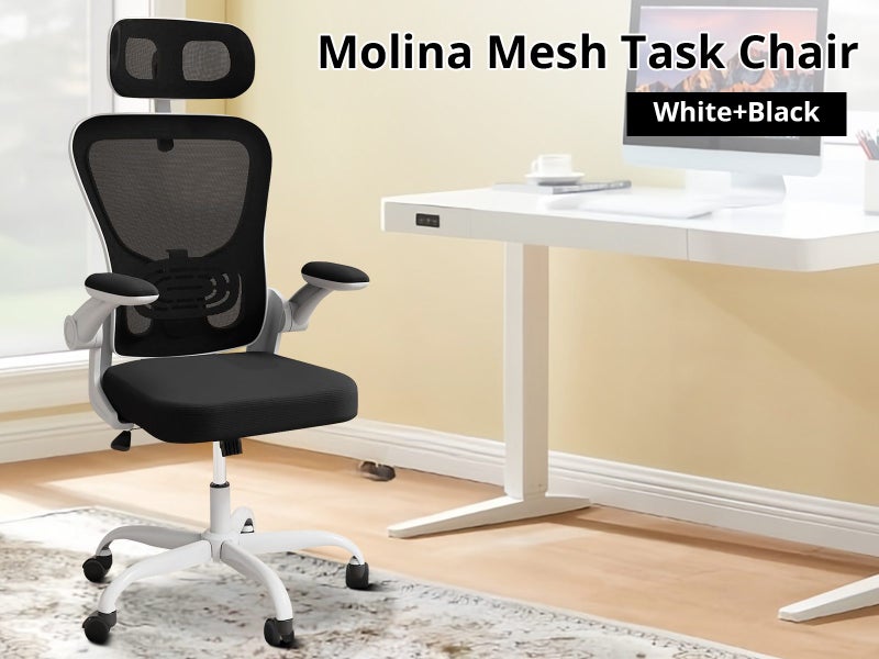 Office Chair Carousel 2