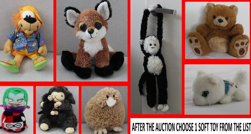 CHOOSE 1: Loekie DUTCH Lion Fox Monkey Teddy Bear Cat Kiwi Sheep Kawaii DC Cubes Carousel 1