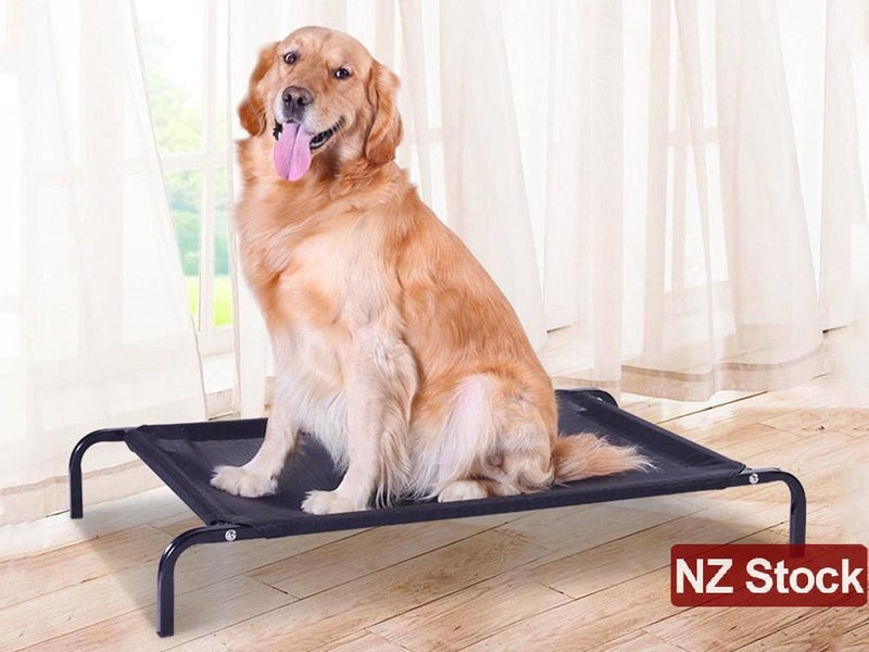 PTN NEW Dog Bed Sale Sale Sale Carousel 2