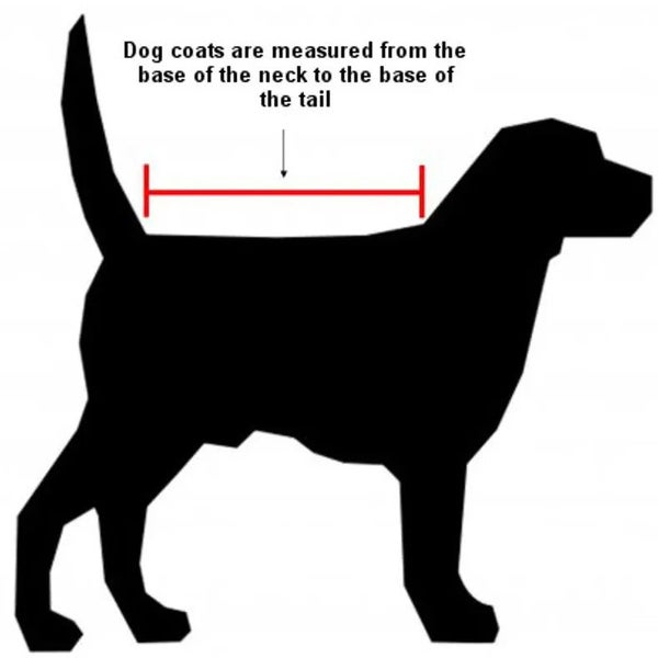 NZ Tack Saddlery Co NZ Tack Buddy Dog Coat Carousel 3