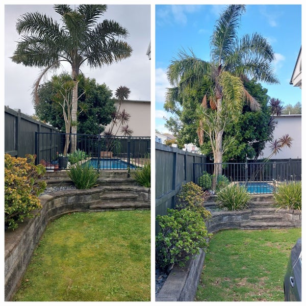 Hardfell Ltd - Tree Trimming and Removals Carousel 20