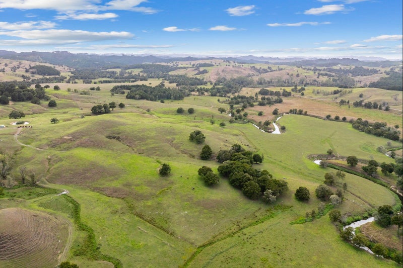 Image 1 of 21