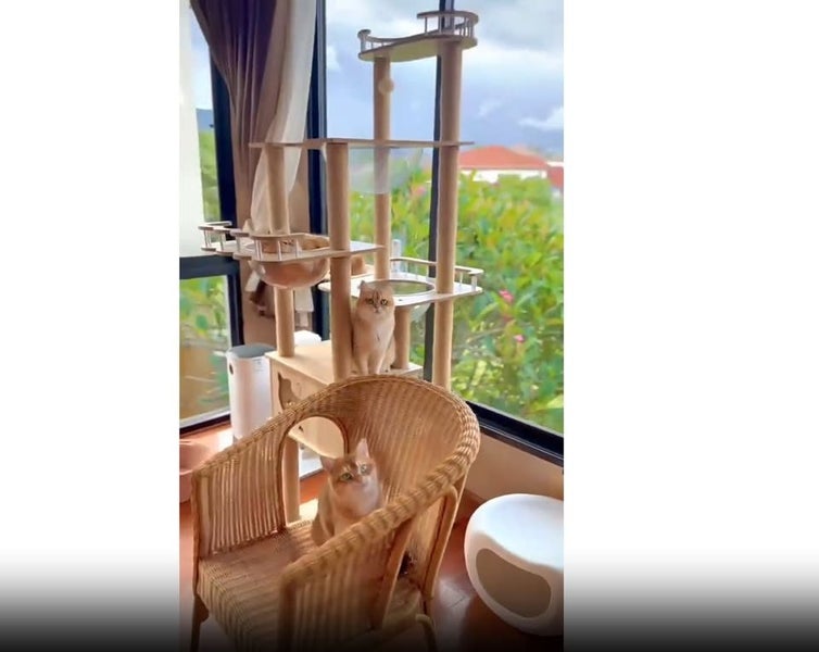 185cm Modern Multi-Level Large Real Solid Wood Cat Tree, Luxury Wooden Cat Tower Carousel 2