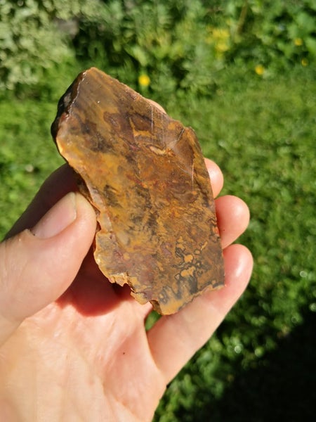 Petrified wood carving slab Carousel 2