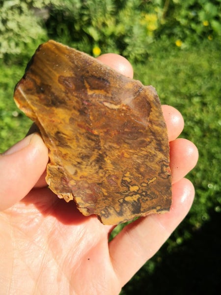 Petrified wood carving slab Carousel 1