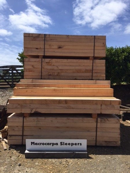 200x100 Macrocarpa Sleepers Carousel 2