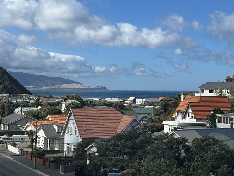Image 1 of 17
