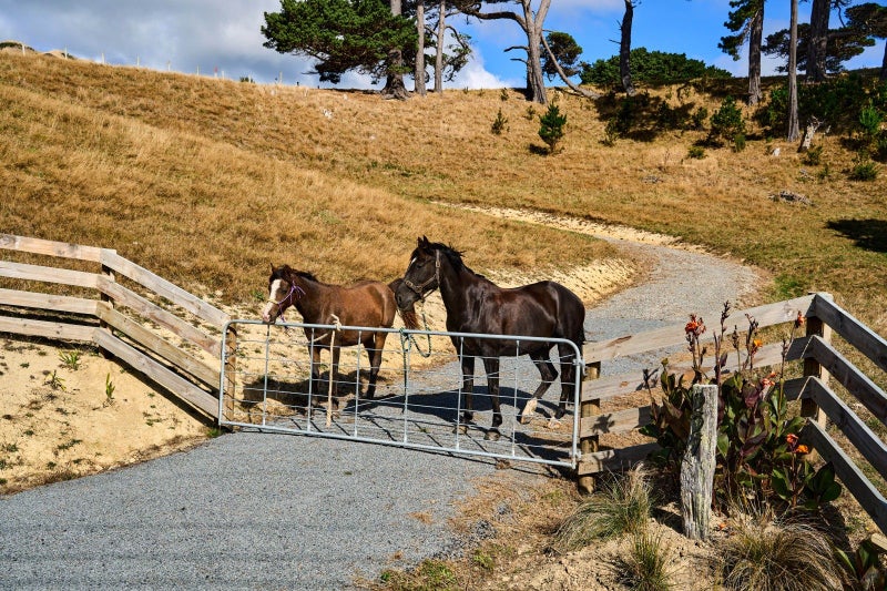 gallery carousel 8