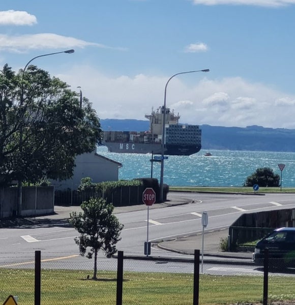Image 2 of 20