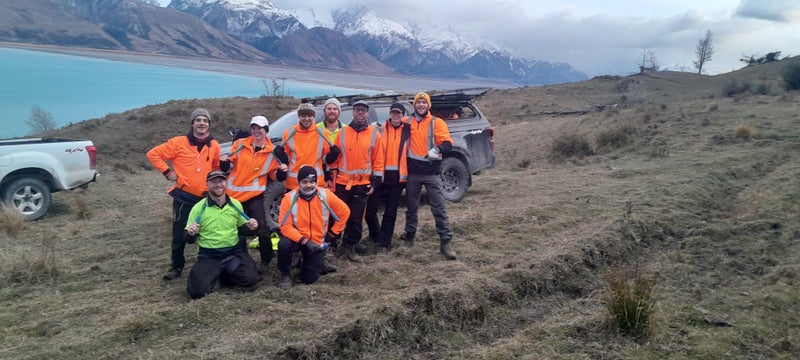 Aoraki Tree and Scrub Carousel 1