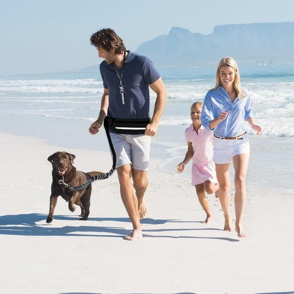 Running Waist Bag with Reflective Dog Walking Leash for Night Jogging with Leash Carousel 2