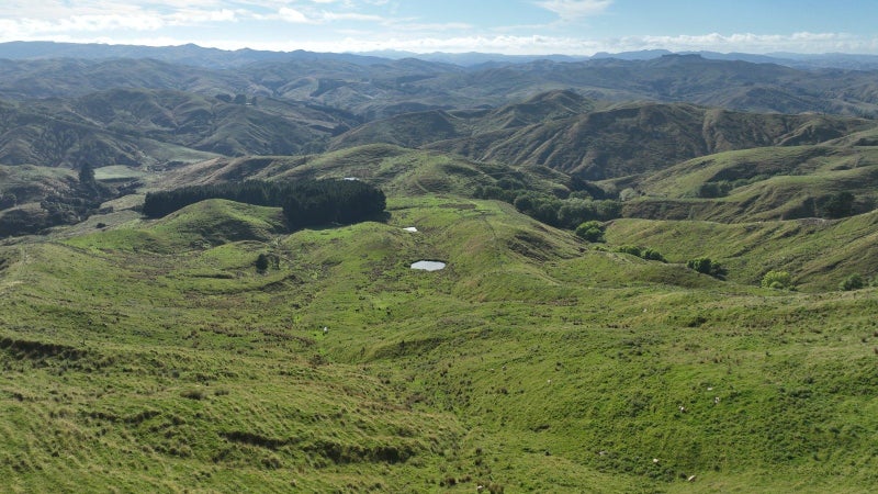 Image 1 of 17
