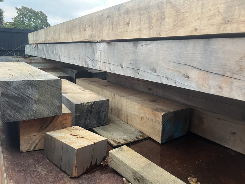 Macrocarpa Timber Carousel 6