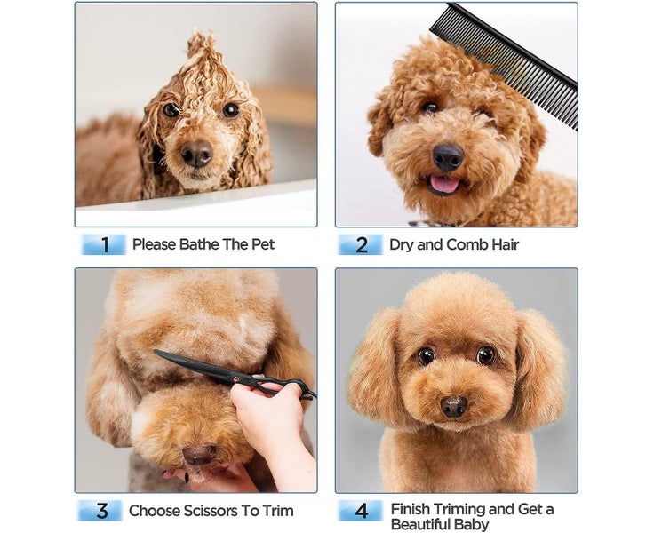 Professional Dog Grooming Scissors Set, 4-Pieces Straight, Upward Curved, D Carousel 7