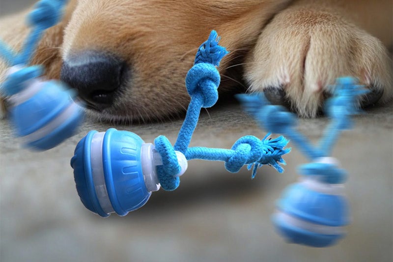 Interactive Dog Ball Toy USB Rechargeable Motion Activated Rolling Ball-Blue Carousel 2
