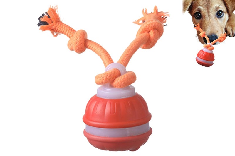 Interactive Dog Ball Toy USB Rechargeable Motion Activated Rolling Ball -Orange Carousel 1