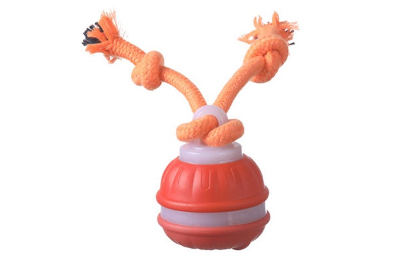Interactive Dog Ball Toy USB Rechargeable Motion Activated Rolling Ball -Orange Carousel 8