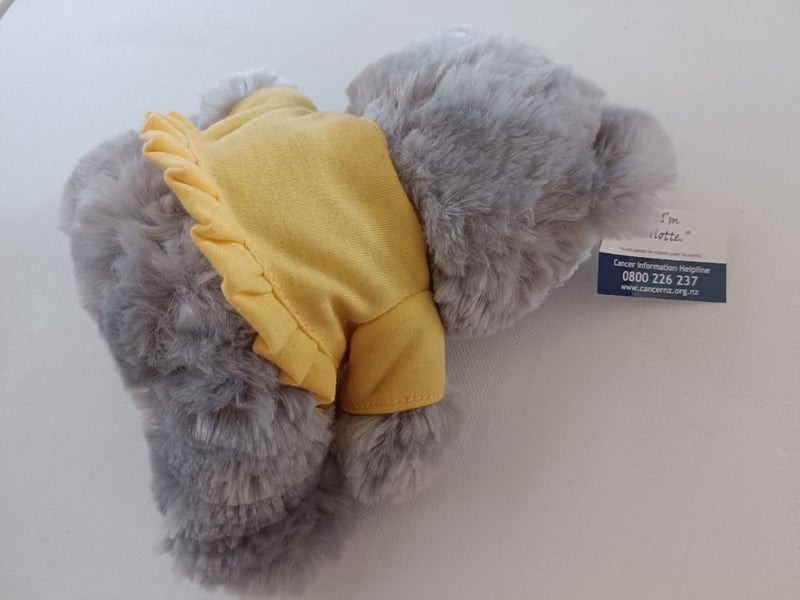Cancer soft teddy 25 years Carousel 2
