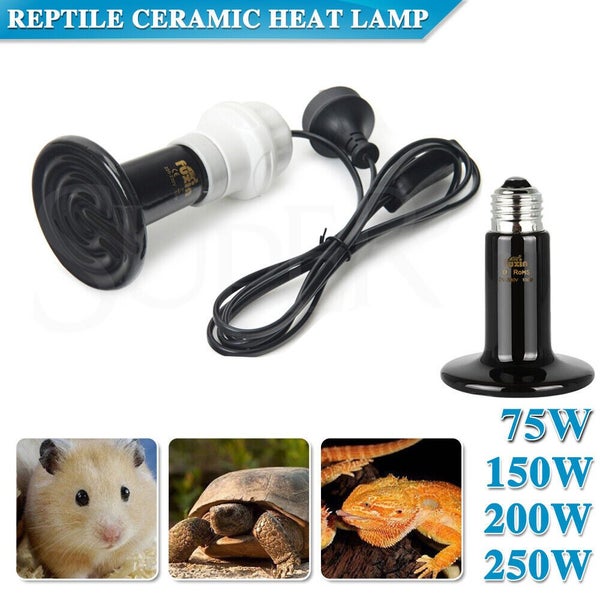 Infrared Ceramic Heat Lamp Bulb With Holder For Reptile Pet Chicken Brooder Home Carousel 1