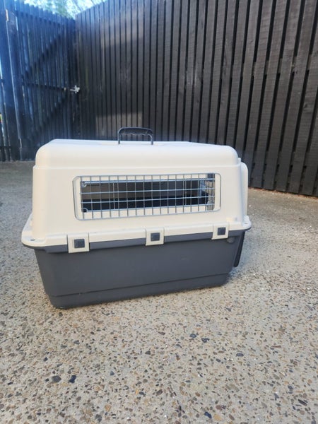 Airline Carrier Doggie Carousel 1