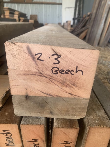 NZ Beech Carousel 2